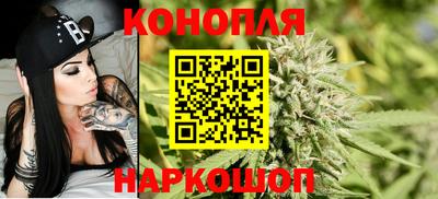 МДПВ Гусев