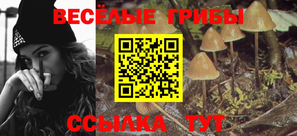 Галлюциногенные грибы GOLDEN TEACHER  Вход с VPN  Лениногорск 